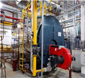 8 ton oil and gas boiler exported to russia,8 ton boiler 