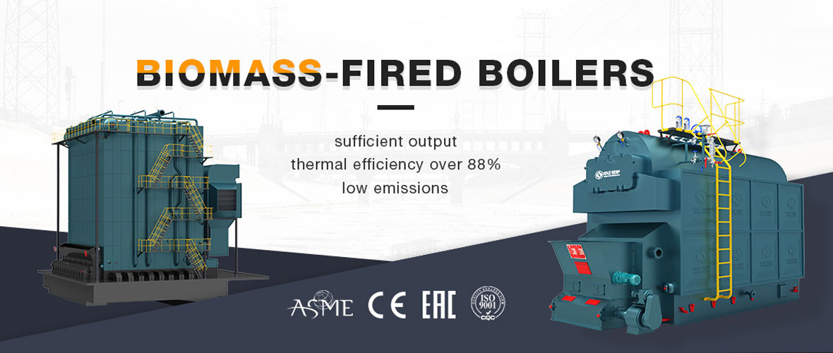 Biomass-fired boilers