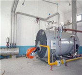 horizontal manual feeding fuel water boiler | industrial 