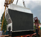 dzl steam coal boilers, dzl steam coal boilers …