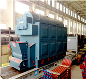 2 ton steam boiler