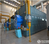vertical household steam biomass pellet boiler