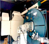 china diesel oil and gas fired industrial steam boiler 