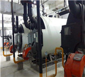 2.1mw diesel boiler | oil gas fired boiler manufacturer
