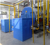 gas fired steam boiler for tomato pulp line