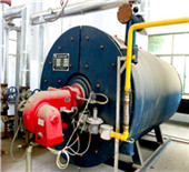 industrial boilers - wood fired hot water boiler 