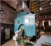 cdzh manual coal biomass fired hot water boiler