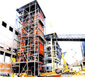 2 ton biomass fuel fired boiler