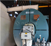 szl coal fired steam boiler