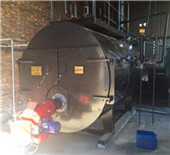 wood chips fired hot oil boiler for rubber industry 