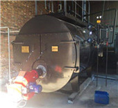 2 ton steam boiler