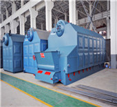china thermal oil boiler manufacturers - best price 