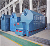 wns oil gas steam boiler manufacturer – service 