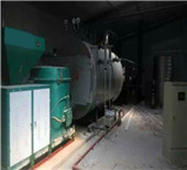 dzl horizontal coal steam boiler - wilfordboiler