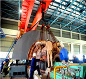 +boiler +dzl | industrial boiler project supplier