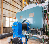 wood fired boilers | hurst solid fuel fired boilers