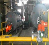 8 ton biomass fired boiler for city heating in russia