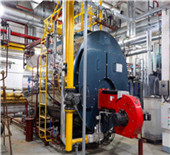 global biomass boiler | uniconfort srl