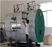 saw dust fired steam boiler for furniture factory