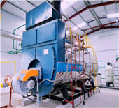 wns series gas-fired (oil-fired) steam boiler - …