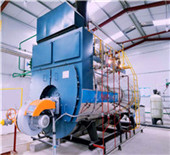china diesel oil and gas fired industrial steam boiler 