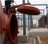 lpg fired steam boiler for tomato pulp plant