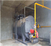 0.35mw oil fired hot water boiler | vertical boiler 