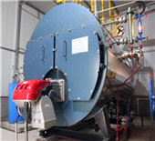city gas fired hot water boiler | circulating fluidized 