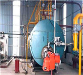 china oil gas fired steam boiler for turbine power 