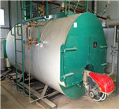 szs series oil and gas fired boiler--zozen