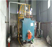 wns series gas-fired (oil-fired) steam boiler - gas …