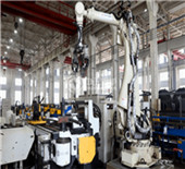 wns oil gas steam boiler manufacturer – service 