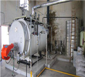 bangladesh 8 ton gas steam boiler for packaging factory