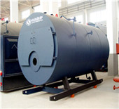 biomass fired chain grate steam boiler - stong …