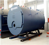 8 ton oil and gas boiler exported to russia,8 ton boiler 