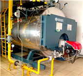 hurst boiler and welding inc. | boilers | biomass boilers