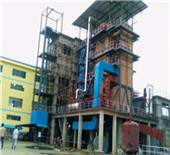 rice husk/ straw biomass power plant boiler--zozen