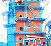 cng fired steam boiler for cotton bleaching plant 