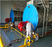wns series gas-fired (oil-fired) steam boiler - gas …