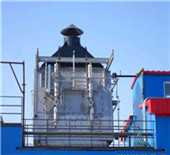 cannon bono energia | biomass thermal oil heaters