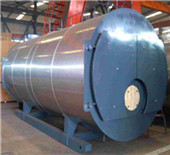 wns oil/gas fired steam boiler - made-in-china