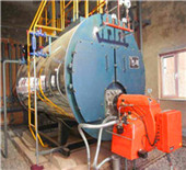 12 tons gas boiler - unic.co.in